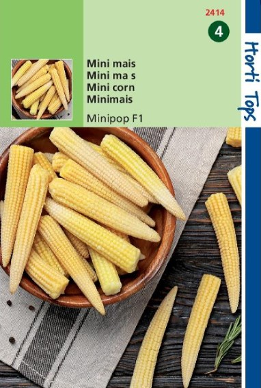 Mini Corn Minipop F1 (Zea mays) 30 seeds